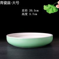 水培陶瓷花盆无孔金/铜钱草睡莲碗莲绿萝水培植物水仙盆创意个性 青瓷盆-大号(特价)