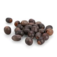 无孔铜钱草花盆陶瓷清仓水仙睡莲碗莲荷花水培容器多肉特大号盆栽 碗莲种子约25粒一包(赠品勿拍)