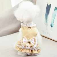 狗狗公主连衣裙牵引绳夏季衣服泰迪裙子小型犬宠物比熊猫咪雪纳瑞 金色 XS