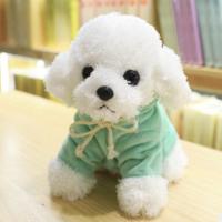 泰迪狗毛绒玩具仿真泰迪犬公仔布娃娃小狗狗玩偶狗儿童生日礼物 穿衣款绿色 20厘米(体积很小)纸箱包装