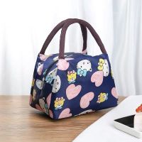手提包女大容量加厚妈咪饭盒包便当包防水手拎包帆布包女士小布包 普通小方包-KT