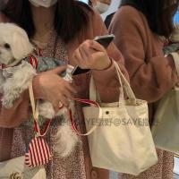 奶油莫兰迪色系小手提包女外出学生手拎2021新款包包迷你帆布包 奶油黄帆布小手提