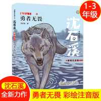 勇者无畏沈石溪动物小说大王系列书籍正版儿童文学睡前故事书 默认
