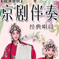 京剧伴奏优盘U盘内存卡张火丁李胜素于魁智程砚秋沙家浜音频mp3 京剧伴奏96首内存卡无视频
