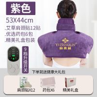 颈椎疼痛]俞兆林电热护肩护颈海盐粗盐热敷袋理疗艾灸盐袋热敷包 紫色 高低档开关+药包*6