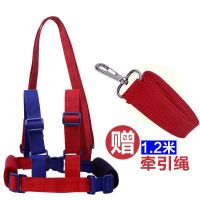 儿童防走失带牵引绳宝宝防丢绳防丢失背包防走丢安全手环溜娃神器 学步带红蓝色