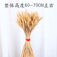 复古北欧编织花瓶海草编藤编客厅居家装饰干花插花花篮花盆花器 原色麦穗200只 大