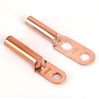 接地线 接地软铜线高压电线电缆接地线25平方透明包塑软铜线国标 10平方单孔铜鼻子/个