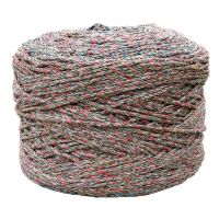 绳子捆绑绳耐磨尼龙编织大棚绳压膜绳封车绳货车专用刹车大闸蟹绳 8mm10米[颜色随机]