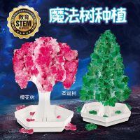 水晶种植生长结晶steam科学小实验套装diy手工制作儿童化学玩具 绿色圣诞树+红色樱花(共两颗树)