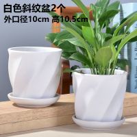 吊兰绿萝花盆陶瓷带托盘批发特价简约中大号多肉花盆三件套装 白色斜纹盆小号2个(推荐款)
