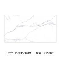 佛山全瓷地板砖750X1500通体大理石瓷砖背景墙无限连纹地砖岩板 715T001