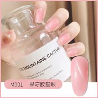 猫眼甲油胶套装2020年新款显白猫眼胶磁铁美甲店专用绿色指甲油胶 M001果冻胶猫眼