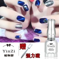 甲油胶陶瓷猫眼宝蓝色猫眼胶冰透玉石猫眼琉璃猫眼胶3D渐变胶 [陶瓷猫眼9号] 5ML