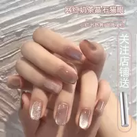 奶茶晶石猫眼甲油胶2020年新款流行色指甲油胶美甲店冰透极光专用 奶茶晶石猫眼(15ml)