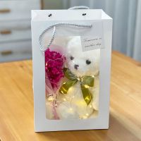 泰迪熊公仔毛绒玩具熊熊布娃娃圣诞节儿童女生玩偶抱抱熊生日礼物 丝巾白熊 30厘米熊[白礼袋+纸箱发货]