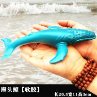 仿真科教软胶海洋动物模型鲨鱼海豚八爪鱼安康鱼儿童玩具教具摆件 软胶须鲸宝宝