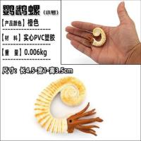 仿真远古生物鹦鹉螺三叶虫菊石模型鲎角石玩具塑胶儿童科教育礼物 桔色[小号鹦鹉螺] 请注意尺寸