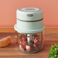 玻璃杯迷你无线绞肉机电动捣蒜器自动家用小型厨房蒜泥蒜蓉搅碎机 玻璃杯3叶刀片[充电青色300ml]