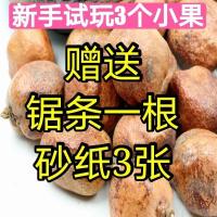 菩提果佛心果金包玉彩果释迦菩提原果老果菩提子吊坠原料项链原子 新手试玩3个小果+砂纸+锯条