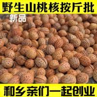 野生山桃核 桃胡菩提原料毛桃胡脑纹桃核手串工艺品散珠DIY无患子 半斤脑纹桃核