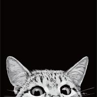 数字油画大幅 diy填色客厅装饰画 动漫卡通迷你 私人手绘填色画 A046-偷看猫 40X50单张画布无框+画笔颜料