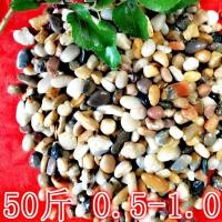 天然鹅卵石铺路小石子花盆鱼缸高抛光五彩石头精品雨花石园艺造景 地暖石0.5-1.0cm