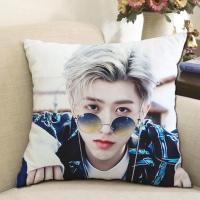 蔡徐坤周边抱枕偶像练习生创意枕头靠垫来图DIY应援ikun生日礼物 1-蔡徐坤 35x35cm(迷你)枕芯+枕套