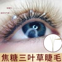 0.03焦糖色三叶草睫毛美睫店嫁接超软混合装yy毛y型彩色咖啡色C翘 焦糖三叶草(3排) 8mm