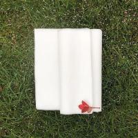一次性垫巾防水防油垫脚巾足浴凳巾美容院按摩店趴枕巾美甲纹绣 40*70白色透气一百条