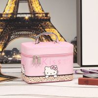 2021新款化妆箱大容量卡通少女心韩国便携化妆箱手提护肤品收纳盒 豹点猫小号单箱