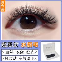 单根嫁接睫毛水貂毛超软扁毛美睫种植假睫毛自然浓密混合装眼睫毛 J翘度 长度8mm
