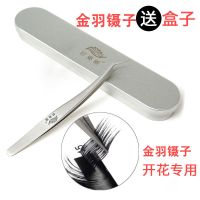 日本高精密嫁接睫毛镊子金羽开花夹镊子海豚夹和直镊子 金羽聂子1把送铝盒