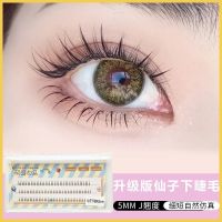 仙子单簇单根下睫毛假睫毛超自然仿真A型嫁接分段式朵毛仙女款5mm 仙子5mm 单盒