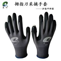 摘辣椒摘花椒防刺防划伤透气灵活手套护指甲神器剥豆子摘豆角神器 灰色M码