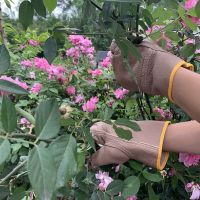 牛皮防护防刺手套园林园艺修剪玫瑰月季摘花椒刺剥板栗子防滑防扎 短款司机防刺(23CM)