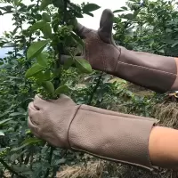 牛皮防刺手套 专业园林园艺修剪 摘剥板栗花椒月季仙人掌防刺防扎 37cm防刺(颜色随机)