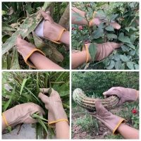 摘花椒剥板栗园林修剪玫瑰花月季花防刺防扎手套加厚防刺仙人球刺 短款[23cm长]轻便款