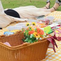 野餐垫春游防潮垫野餐布户外便携折叠野炊牛津布郊游加厚ins风 黄白格子牛津布 加厚 1.5m*1m