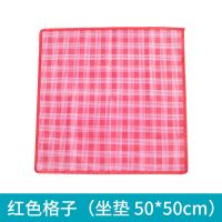 野餐垫户外便携超轻野炊地垫外出垫子防潮可折叠防水草坪沙滩垫 红色格子坐垫[小50*50cm]