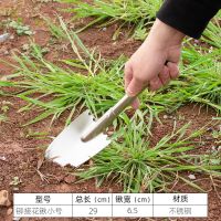 不锈钢园艺铲加厚小铲子园林园艺工具栽花挖土花铲迷你铁锹铁铲 小号不锈钢花铲 1个装