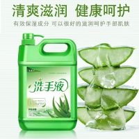 大桶十斤洗手液芦荟味去油洁净保湿抑菌泡沫丰富家用