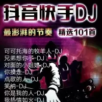 流行网络热歌DJ小嗨曲音乐U盘可可托海牧羊人音箱收音机内存卡mp3 128MB流行107首 音频内存卡