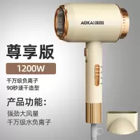 吹风机家用大功率学生宿舍静音电吹风发廊蓝光负离子不伤发吹风机 高级金1200w胶原蛋白