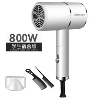 电吹风机家用学生宿舍可折叠便携蓝光负离子静音大小功率不伤发筒 贵宾白 [宿舍款]800W 送3