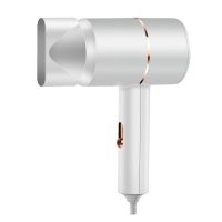 电吹风机吹头发折叠家用学生宿舍大小功率蓝光负离子小型冷热风筒 珍珠白[1100w]