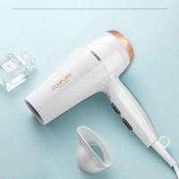 飞科电吹风机家用理发店风力大功率负离子不伤发学生宿舍发廊专用 康夫吹风机[蓝光负离子]2300W