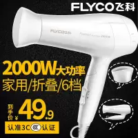 飞科电吹风机静音可折叠吹风机家用宿舍发廊负离子电吹风小巧 飞科:2000W+冷热6挡+可折叠 吹风机 标配