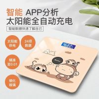 智能体重秤减肥体脂秤家用精准耐用电子称重器计人体秤成人充电款 萌猴[光能+USB充电两用]26厘米