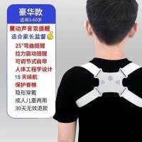 驼背矫正带儿童成人驼背仪学生男女坐姿智能矫正器脊柱侧弯高低肩 豪华版隐形透气款5倍高效矫正2周塑型